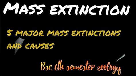 Mass Extinction Causes Of Extinction Major 5 Mass Extinctions