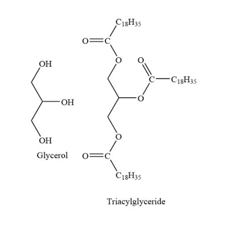 Explain The Structure And The Properties Of Triacylglycerol