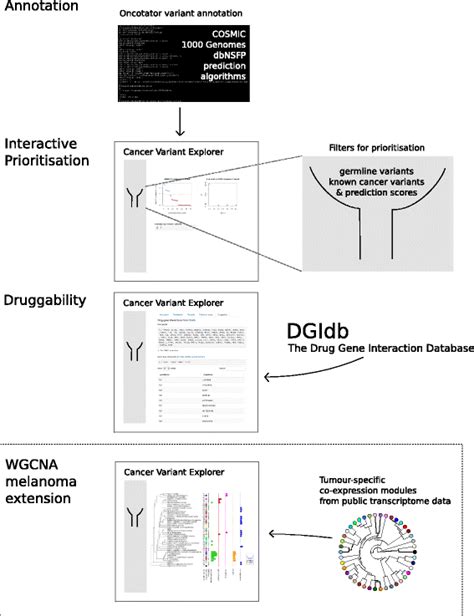 Of Cve Workflow Variants Of Interest Identified In High Throughput