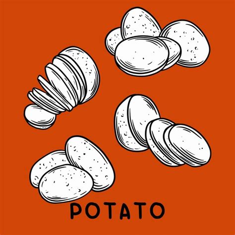 Premium Vector Hand Draw Vegetable Potato Icon