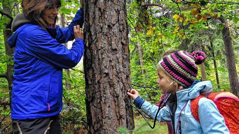 Lernen mit allen Sinnen Drittklässler erkunden den Lebensraum Wald