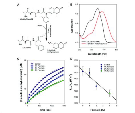 Schematic Representation Of The Formalin Treated Enzyme Catalysis A