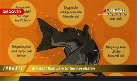 Ketahui 7 Manfaat Ikan Lele Untuk Kesehatan Bikin Kamu Penasaran