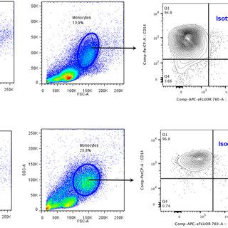 Contour And Dot Plots From Flow Cytometry Analysis Representing