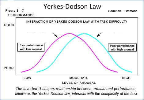 Arousal And Performance