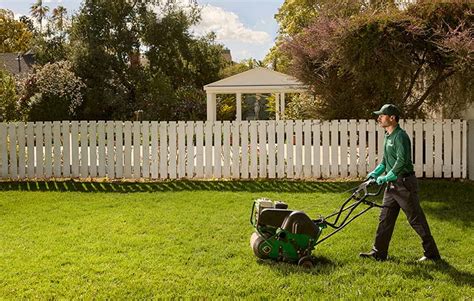 How Often Should You Aerate Your Lawn TruGreen