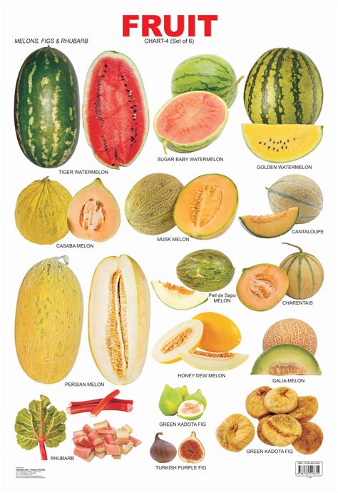 Fruit Chart - 4