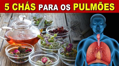 5 Melhores CHÁS PARA OS PULMÕES Respirar Melhor Limpar e Proteger