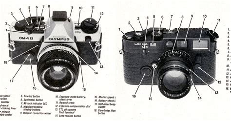 Film Camera Parts Diagram