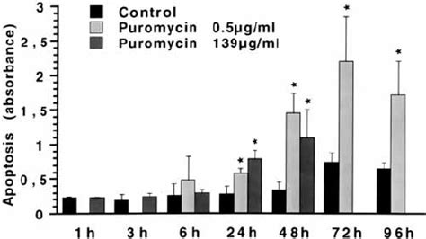 B Effect Of Cycloheximide CHX Emetine And IGF I On 3 H Leu