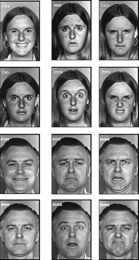 An Example Of All Six Facial Expressions From The Top Left Picture