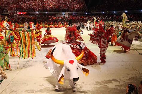 Amazonas E Mais Para Entender O Festival Folclórico De Parintins