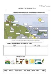 Free Ecosystem Worksheets