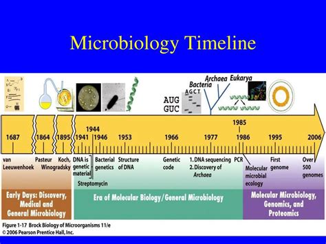 Ppt History Powerpoint Presentation Free Download Id 1049364