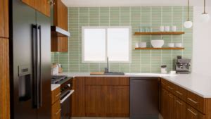 Midcentury Modern Kitchen Renovation Exactly Designs