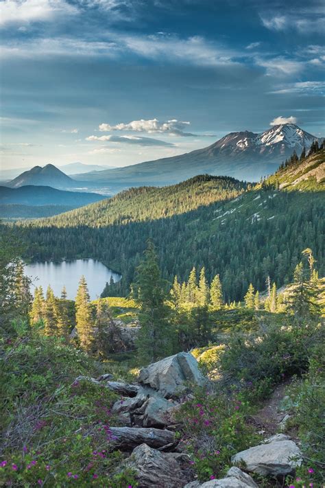 Mountain Peak Near Body Of Water Forest Mount Shasta California