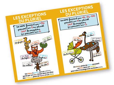 Les Exceptions Du Pluriel Ou Au Eu Affiche Format A2