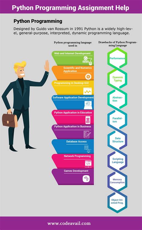 Python Programming Assignment Help Infographic Python Infographic