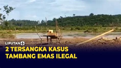 VIDEO Polisi Tetapkan 2 Tersangka Kasus Tambang Emas Ilegal Enamplus