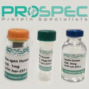 Gfp Mouse Anti Green Fluorescent Protein Prospec