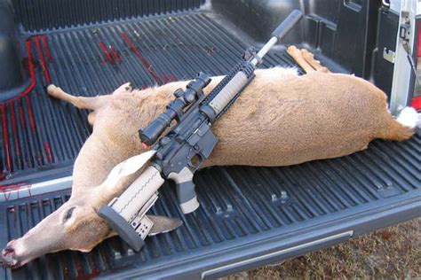 What You Need To Know About 223 Caliber For Deer Hunting Outdoorhill