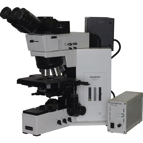 Olympus BX50 Trans Reflected Light BF DF Microscope Lab Equipment