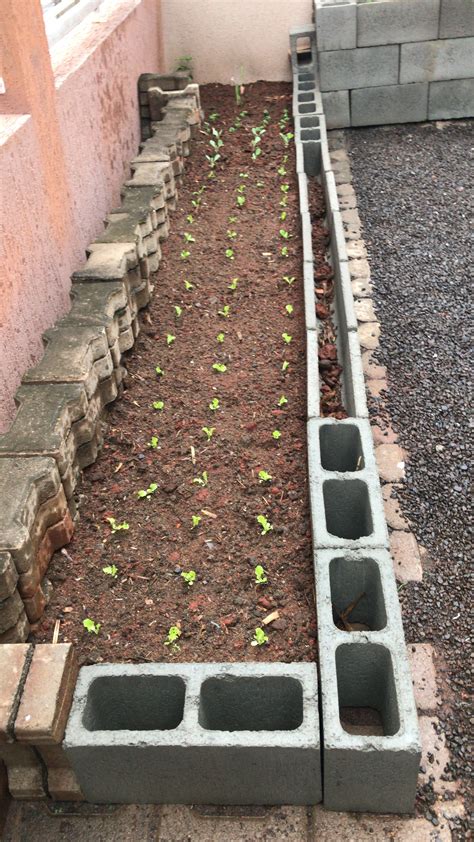 The Best Diy Cinder Block Raised Garden Bed Artofit