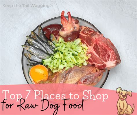 Top 7 Places to Shop for Raw Dog Food