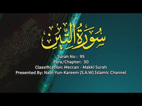 Surah Tin Teen The Holy Quran Complete Playlist