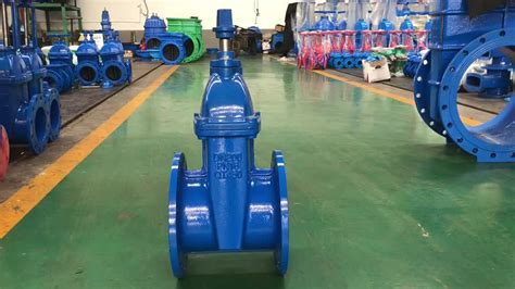 Dn Inch Gate Valve Resilient Seated Ductile Cast Iron Gate Valve