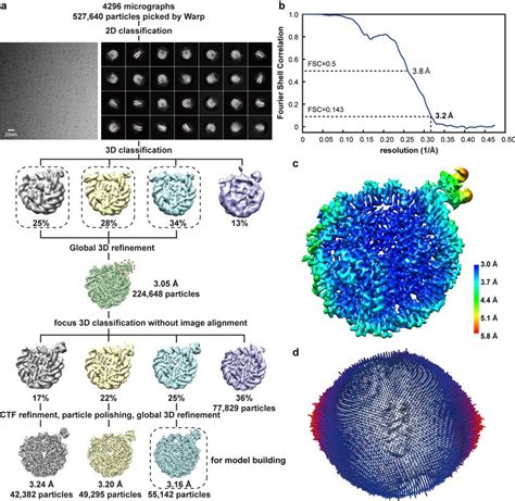 Cryo Em Data Processing A Data Processing Procedure For The Complex Of