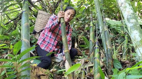 FULL VIDEO 45 Days Harvesting Bamboo Shoots Oranges Vegetables Goes