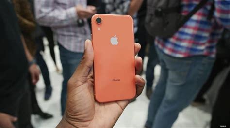 Iphone Xr Colors What Should Know Gadgetswright