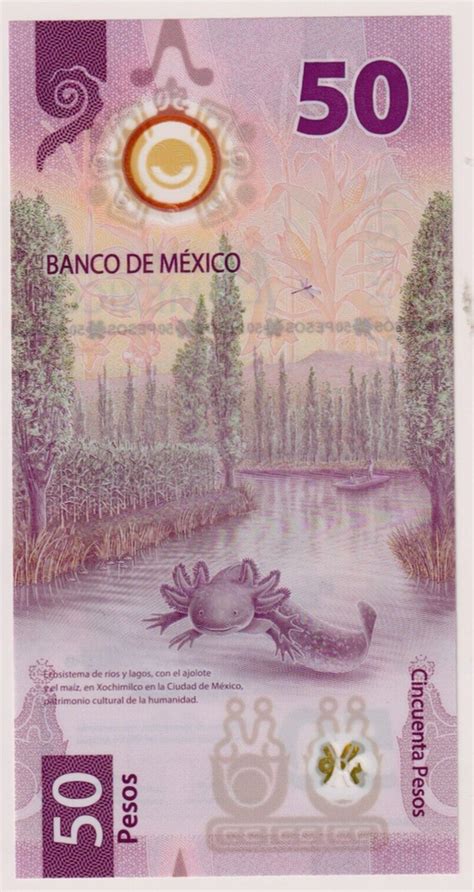 Mexico 50 Pesos 2023 P W133 1 Unc Polymer Note Axolotl New Date Ebay