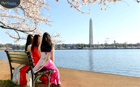 Facts About Washington DC S Cherry Blossom Festival