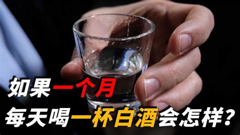 如果连续30天坚持喝杯白酒，身体会有什么变化？结局或超出你想象【脑洞科普君】 Youtube