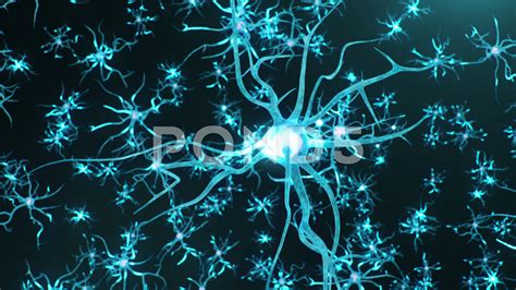 Neuron Synapse Animation