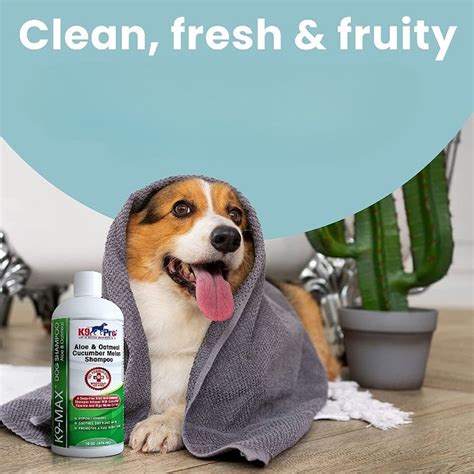 Best Hypoallergenic Dog Shampoo For Dry Itchy Skin