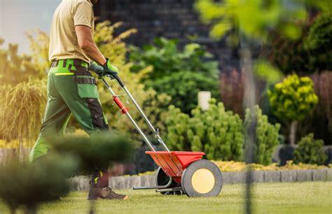 Fertilizing In The Fall Has Benefits Calgary Landscape Supplies