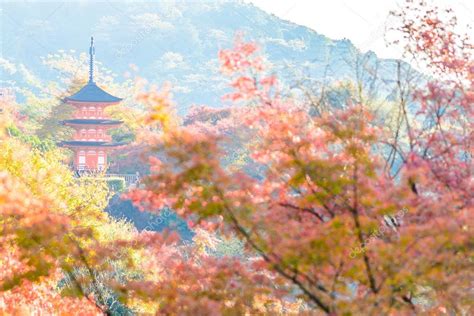 Kiyomizu-dera temple in autumn season — Stock Photo © mrsiraphol #91916562