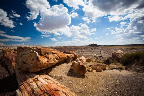 Attractions and Oddities Along Arizona's Interstate 40 - Territory Supply