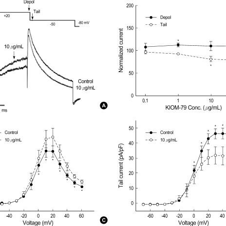 Effect Of Kiom On The Aps In Rabbit Cardiac Purkinje Fibers A