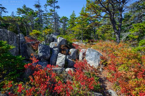 Joe S Guide To Acadia National Park Bowditch Trail And Long Pond