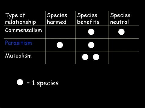 Ecology Notes Ppt