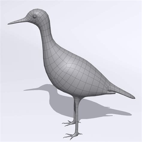 Upland Sandpiper - 3D Model by rmilushev