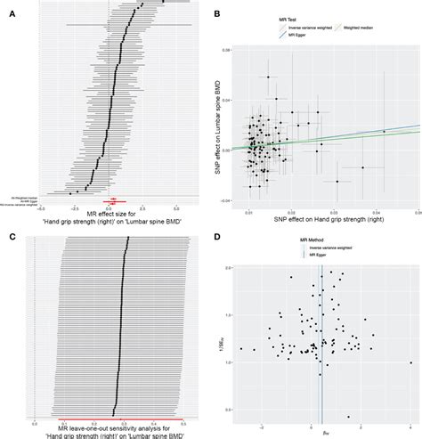 Frontiers Causal Associations Of Hand Grip Strength With Bone Mineral