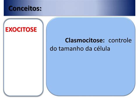 Clasmocitose O Que É - O Que é Clasmocitose - RETOEDU