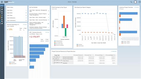 Sap Business Bydesign From Pristine Solutions