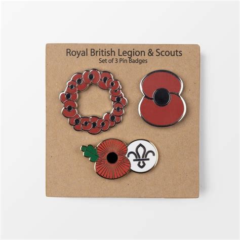 Poppy And Scouts Set Of 3 Pin Badges Rbl And Scouts Winter Sale