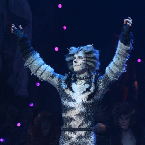 Munkustrap/Gallery | 'Cats' Musical Wiki | FANDOM powered by Wikia